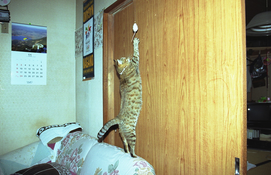 img289