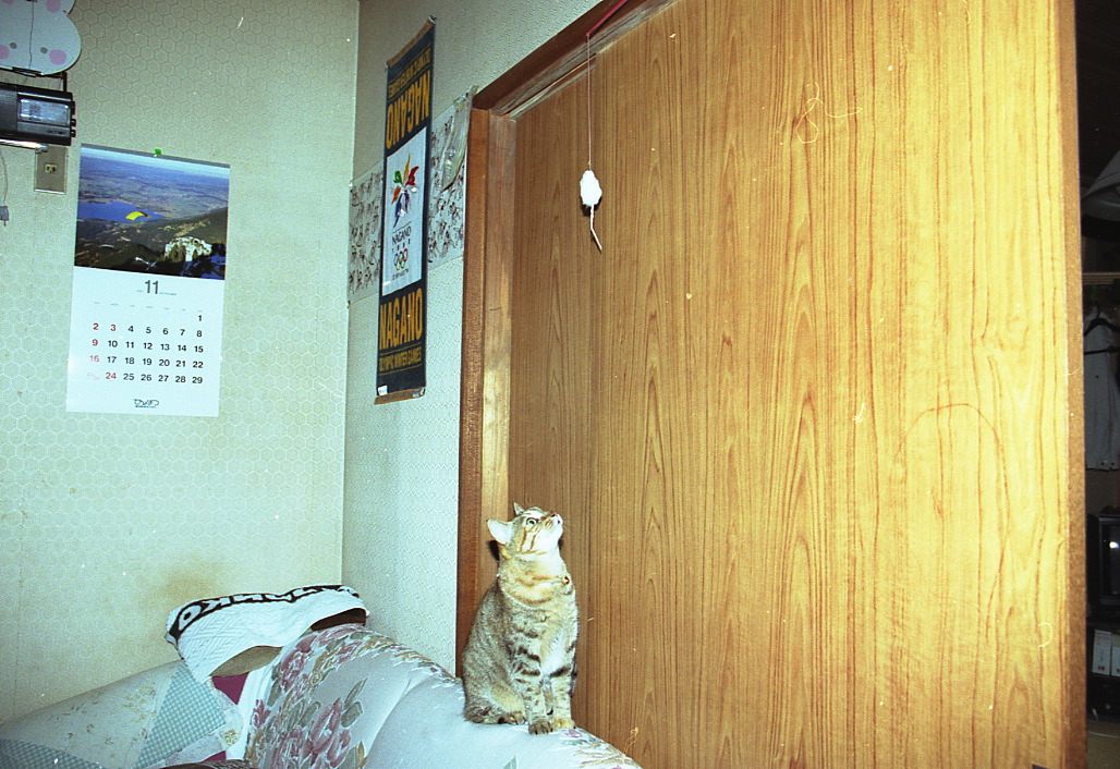 img292
