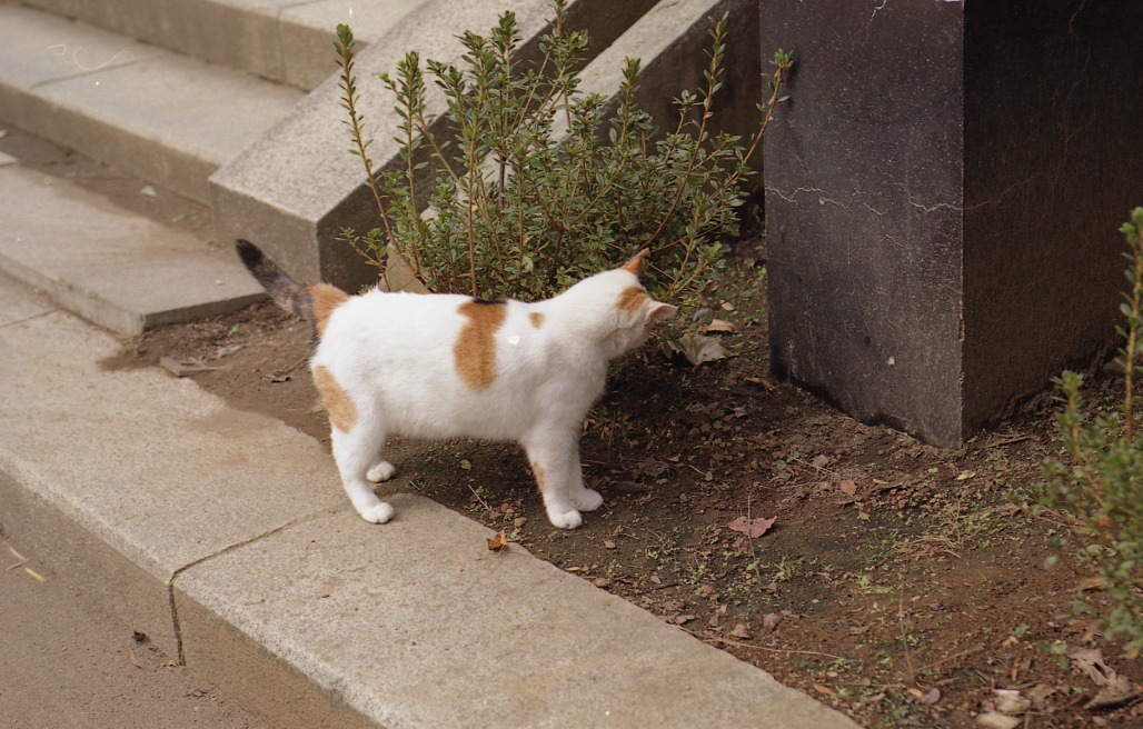 img317