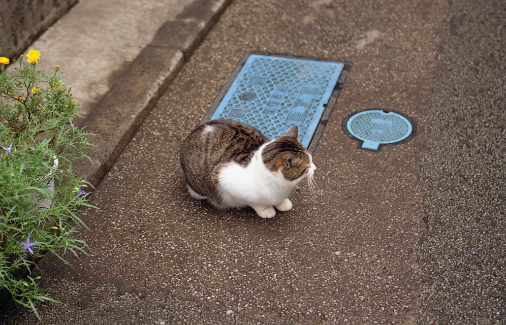 img328