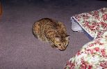 img286