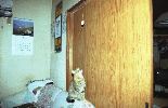 img291