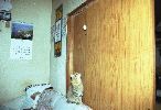 img292