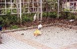 img255
