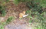img308