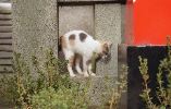 img314
