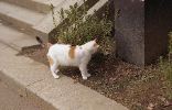 img317