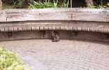 img320