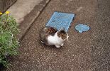 img328
