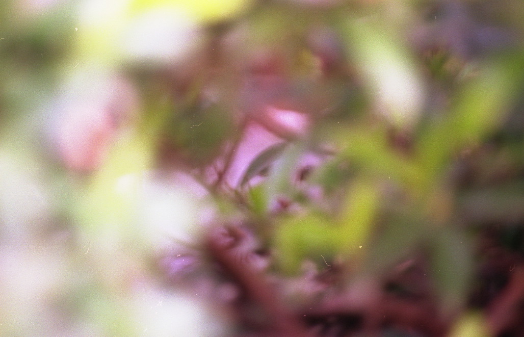img395