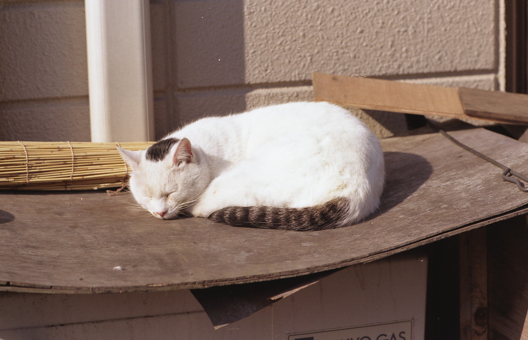 img407