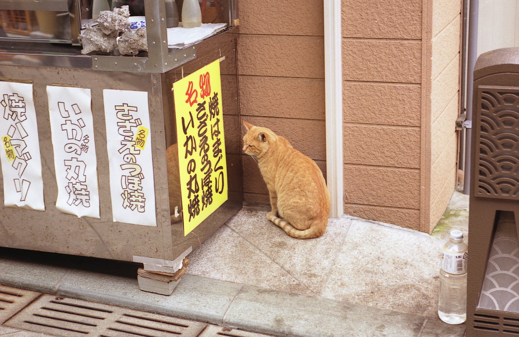 img434