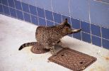 img363