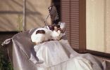 img353