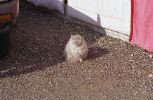 img408