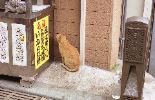 img435