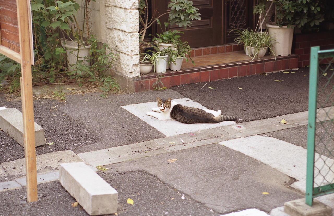 img450_1