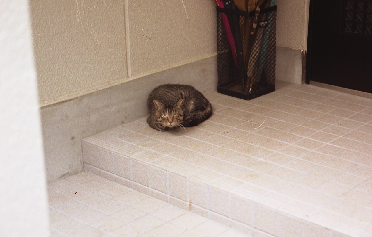 img487_1
