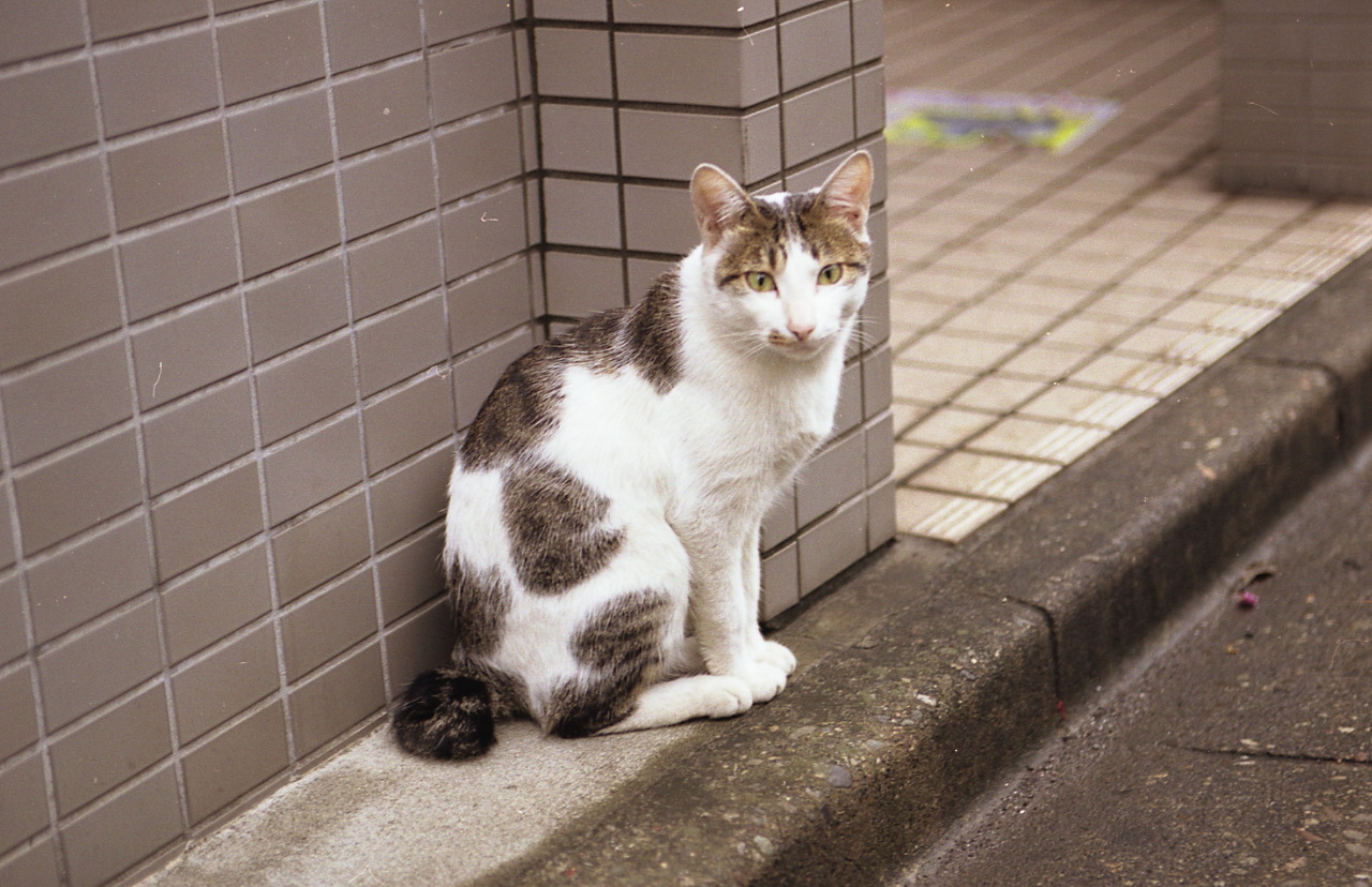 img489_1