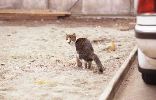 img451_1