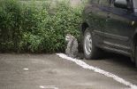 img461_1