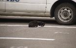 img462_1