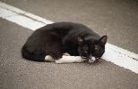 img463_1