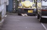 img472_1