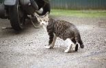 img474_1