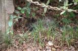 img476_1