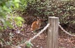 img477_1