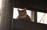 img478_1