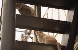 img479_1