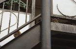 img480_1