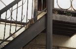 img481_1
