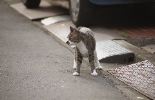img482_1