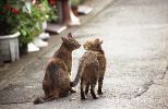 img483_1