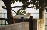 img484_1