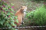 img485_1