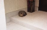 img487_1