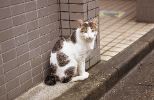 img489_1