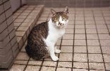 img490_1