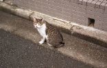 img491_1