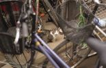 img492_1