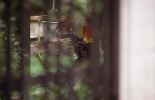 img494_1