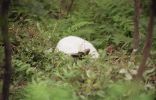 img497_1