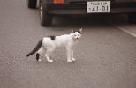 img498_1