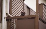 img503_1