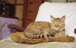 img456_1