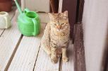 img457_1
